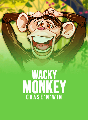 Wacky Monkey- Chase'n'Win
